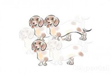 Как узнать свой психологический возраст: простой визуальный тест