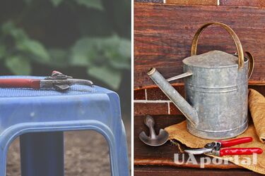 Садівники пояснили, які рослини треба встигнути обрізати у липні