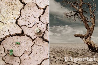 Смертельна спека може знищити п'ять регіонів на планеті – NASA