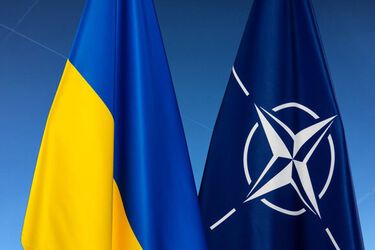 Почему на саммит НАТО не пригласят Украину