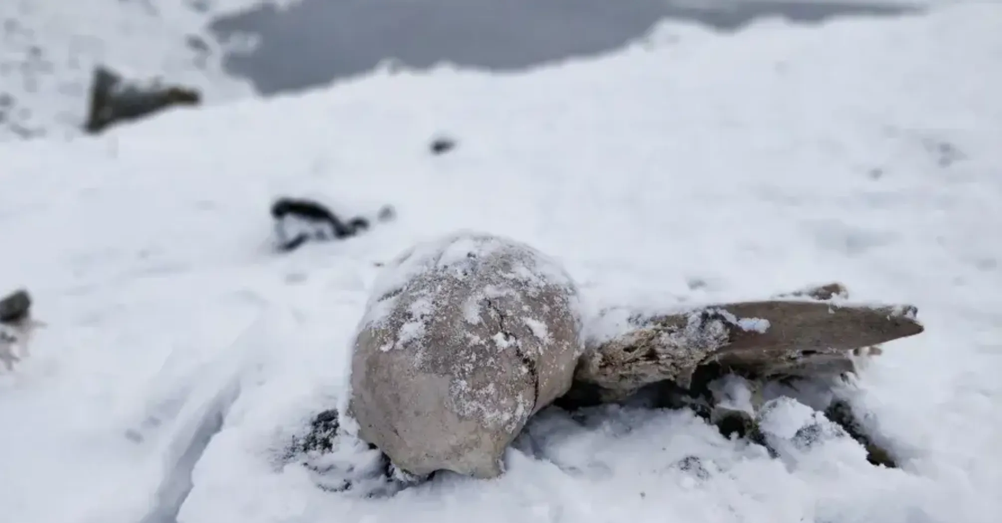 Таємниці Гімалаїв: біля озера на висоті 5000 метрів знайшли сотні людських скелетів (фото)