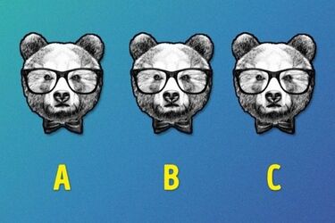 Не все смогут заметить на картинке отличную панду: тест на IQ с оптической иллюзией