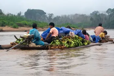 В Амазонии живет народ, у которого нет проблем со здоровьем: в чем его секрет