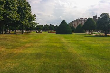 Нужна туалетная бумага: садовница поделилась секретом борьбы с сухой травой
