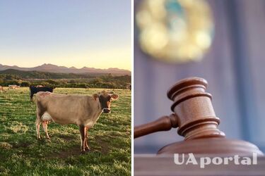 Чоловік не пішов за викликом до ТЦК, бо пас корів: що вирішив суд