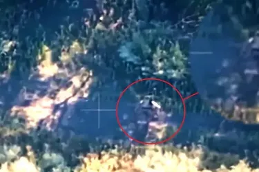 ЗСУ відплатили кадировцю за знущання над українським котиком: момент помсти на відео