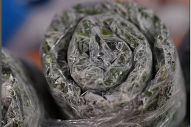 Как заготовить на зиму зелень, чтобы она не потеряла свои свойства: рецепт