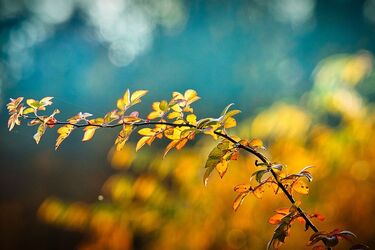 Очікувати на холоди не варто: синоптики розповіли про погоду в Україні на вересень