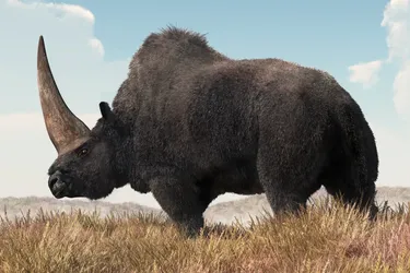 Стародавні люди бачили його: вчені підтвердили, що тисячі років тому луками Євразії дійсно бродив єдиноріг (фото)