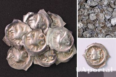 Величезний скарб середньовічних монет зі срібла випадково знайшли у Німеччині (фото)