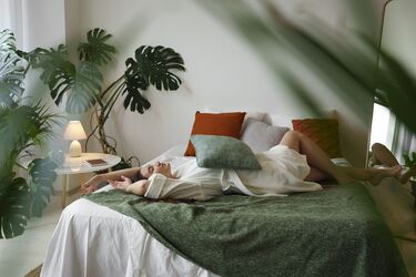 Sleep better: instead of a sedative, pot these plants