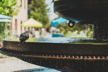 Настав новий період сильної спеки: скільки протримається