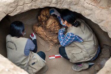 'Міжгалактичні мобільні телефони' знайшли у перуанських 'муміях прибульців' (фото)