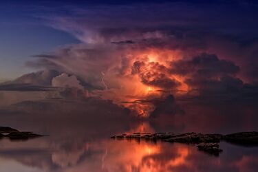 Если молния попадает в озеро, убивает ли она рыбу: неожиданный ответ