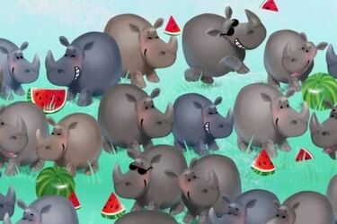 Тест на IQ за 11 секунд: сможете ли вы разгадать эту оптическую иллюзию