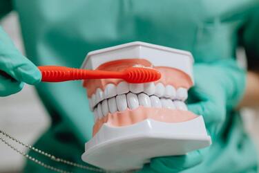 Сколько раз в день нужно чистить зубы, чтобы меньше обращаться к стоматологам