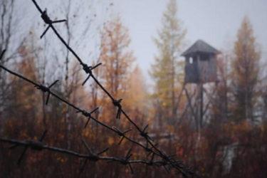 Людяності не існує по той бік кордону