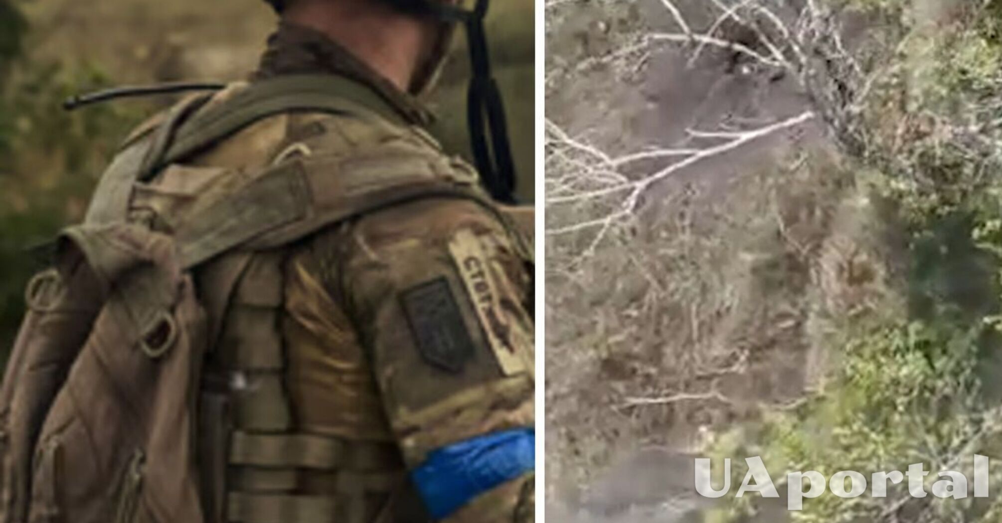 Морпехи взорвали оккупантов в лесу под Волчанском (видео)