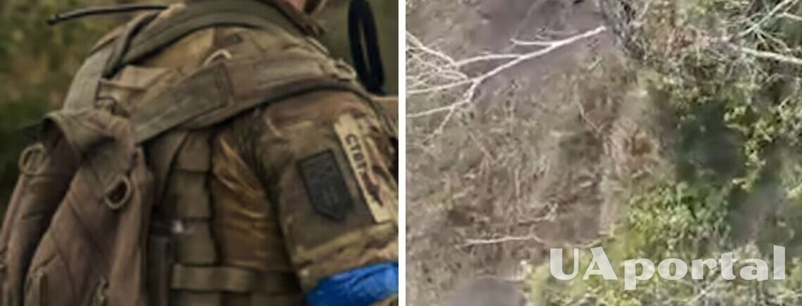 Морпіхи підірвали окупантів у лісі під Вовчанськом (відео)