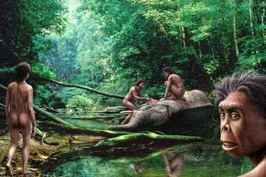 Тайна 'хоббитов': ученые обнаружили кость миниатюрного предка человека возрастом 700 тысяч лет (фото)