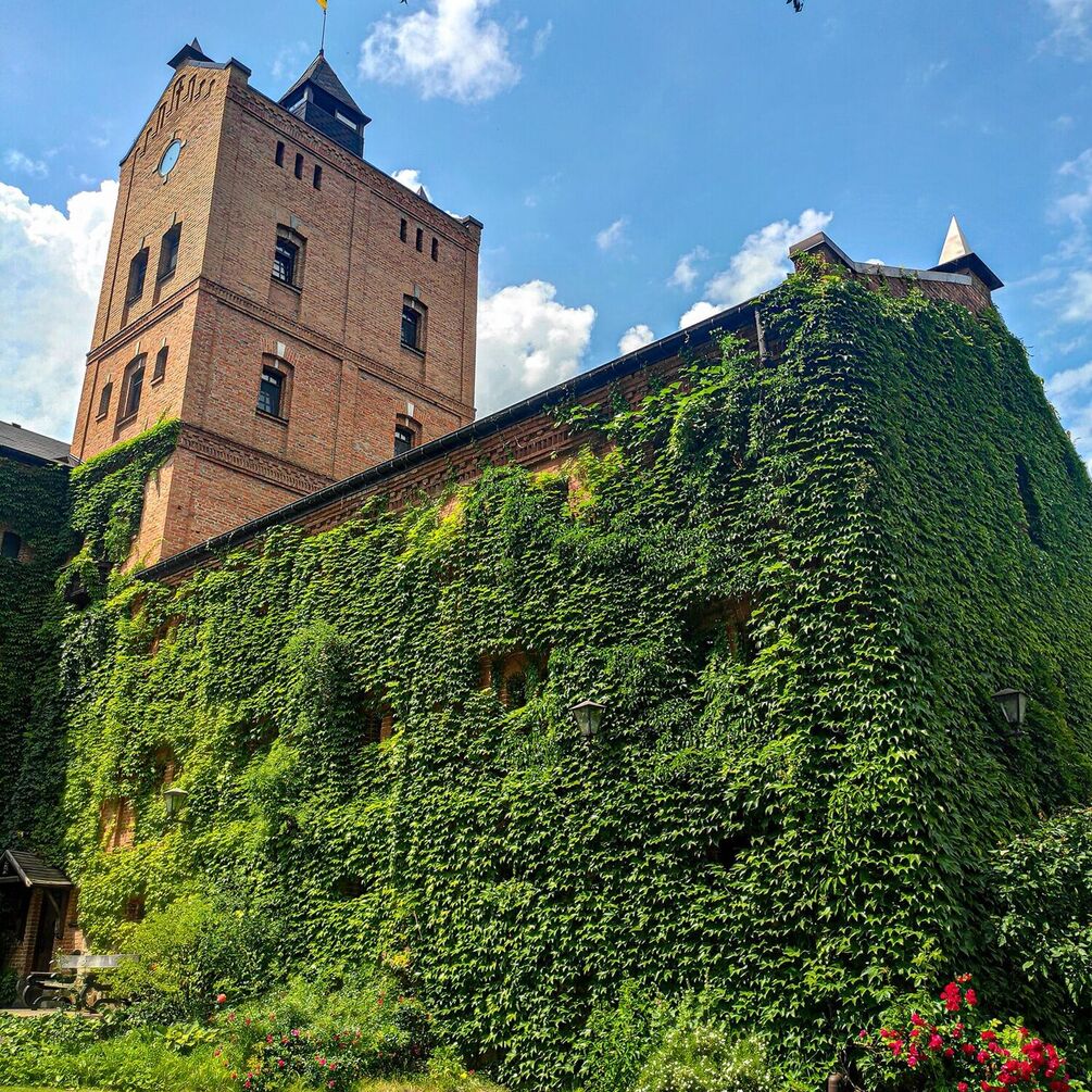 Мандри в бік Житомира. Що додати до відпочинку на Коростишівському кар’єрі