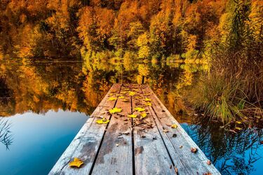 Як не впасти в осінню нудьгу