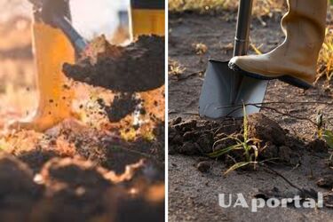 Чи потрібно перекопувати город восени та до чого це може призвести: відповідь городників