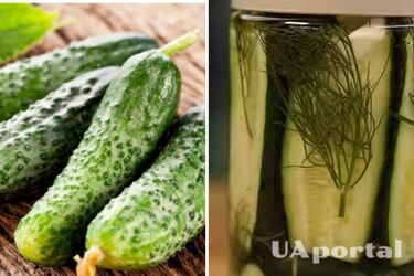 Як смачно приготувати малосольні огірки: рецепт