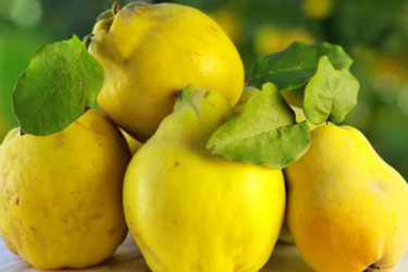 Печеня з айвою