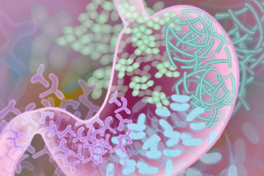 Харчування для покращення мікробіому кишечника