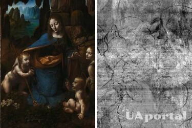 Hidden image found under 500-year-old da Vinci painting 'Madonna in the Rocks' (photo)
