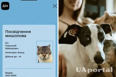 В Україні планують запровадити електронні паспорти для тварин: подробиці