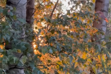 Медитация в движении. Сегодня учимся гулять