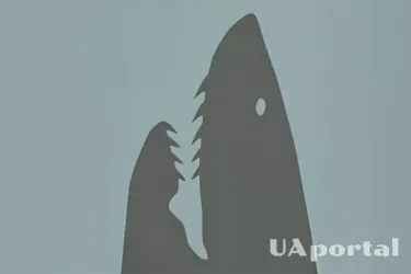 Сильный или слабый: тест на определение характера