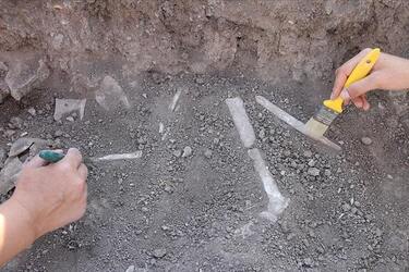 У Туреччині знайшли 7600-річний дитячий скелет, біля якого лежала срібна прикраса (фото)