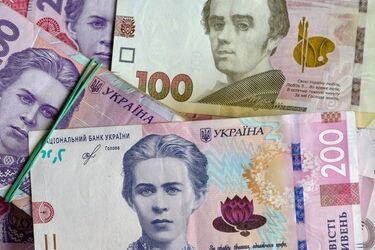 'Гривна' или 'гривня': как правильно называть национальную валюту