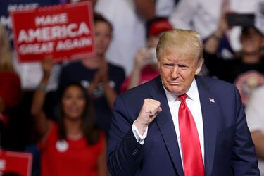 Трамп назначил Украину 'невесткой'