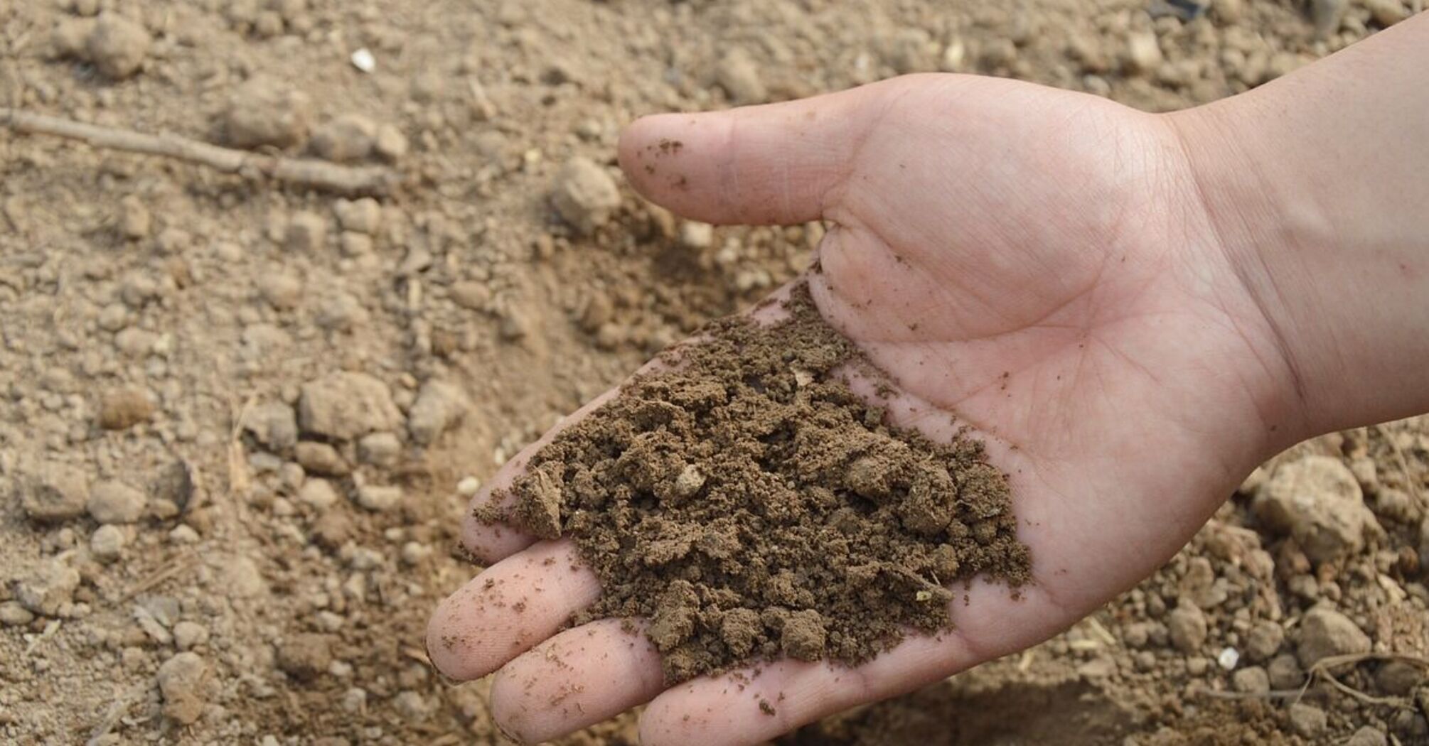 Дієве рішення для родючого ґрунту: спеціалісти радять це добриво замість гною