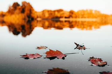 Спека до 28 градусів та заморозки: чим дивуватиме погода на початку жовтня