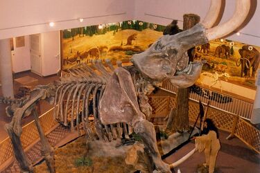 Відродження мамонтів: чому цей науковий експеримент може стати глобальною проблемою для Землі