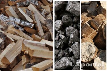 Газовое, электрическое или дровяное: чем выгоднее отапливать квартиру зимой