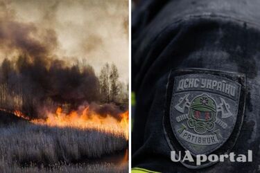 Сидите дома и закрывайте окна: на территории Чернобыля разгорелся серьезный пожар