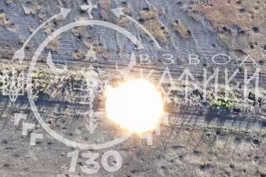 'Котики' зі 130 батальйону ТРО вперше скидом з українського дрона збили російського 'мавіка' (відео)