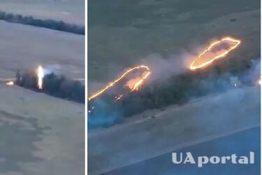 Вогняні дрони-дракони випалюють позиції окупантів на фронті (відео)