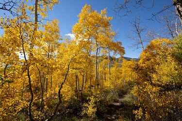 Від літньої спеки до осінніх заморозків і дощів: чим здивує вересень українців