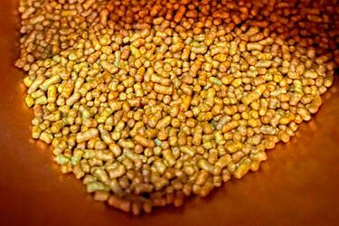 Гречневый чай: полезный редкий десерт