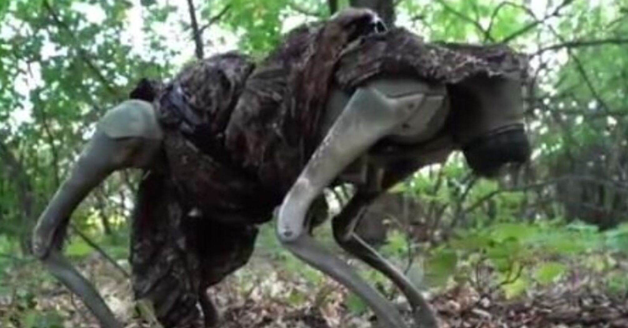 Бойовий робопес: українські військові показали відео унікальної розробки на фронті