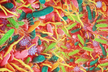 Чи знали ви, що більше половини клітин у вашому тілі не є людськими?