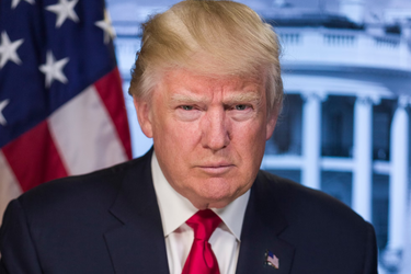 Портрет Дональда Трампа на фоне Белого дома