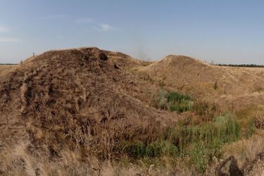 Скарби скіфської епохи: археологи у Запорізькій області знайшли унікальні золоті прикраси жриці (фото)